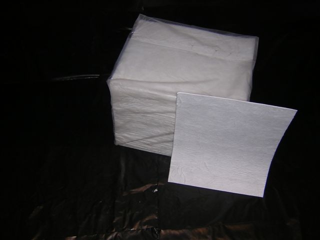 Absorbent pads